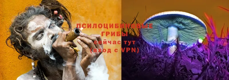 Галлюциногенные грибы MAGIC MUSHROOMS  Кадников 